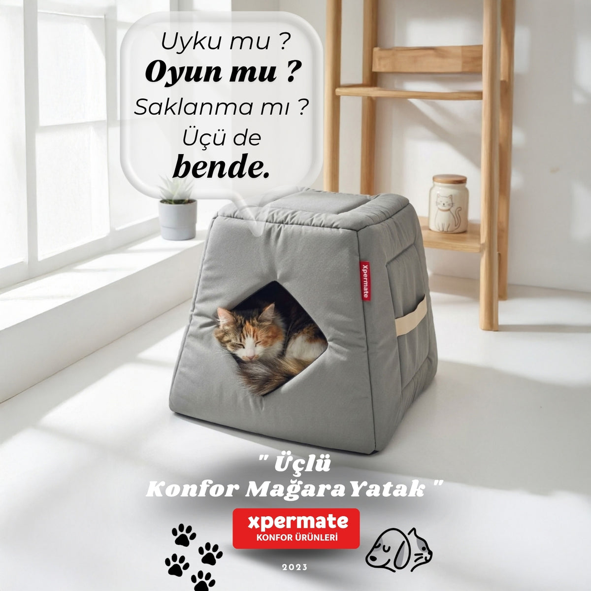 Antrasit